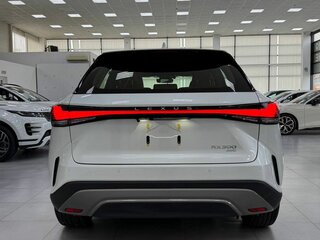 2026 Lexus RX 300 V, белый, 8199000 рублей, вид 5