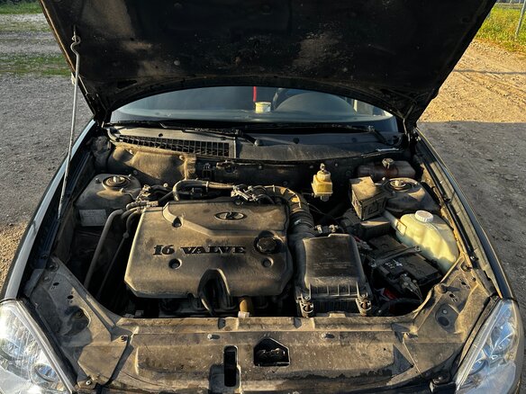 2009 Lada (ВАЗ) Priora I, чёрный, 310000 рублей - вид 9