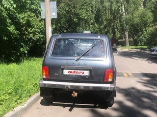 2019 Lada (ВАЗ) 2121 (4x4) I Рестайлинг, серый, 480000 рублей, вид 3