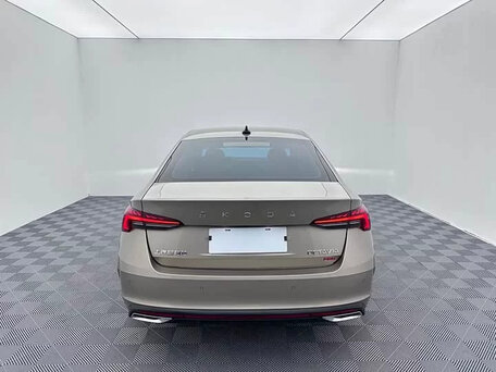 2023 Skoda Octavia IV (A8), бежевый, 1790000 рублей, вид 5