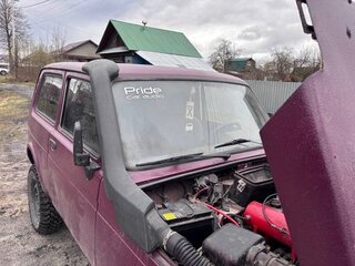 2001 Lada (ВАЗ) 2121 (4x4) I Рестайлинг, фиолетовый, 200000 рублей, вид 3