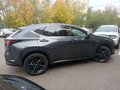 2023 Lexus NX 350h II, серый - вид 1