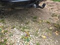 2014 Great Wall Hover H5, чёрный - вид 9