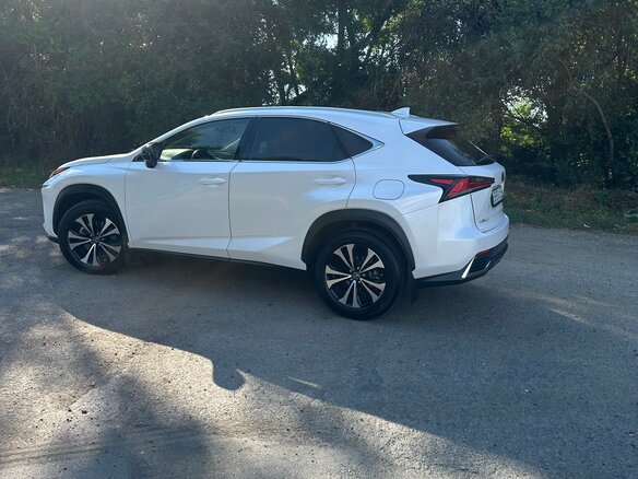 2019 Lexus NX 200 I Рестайлинг, белый, 2790000 рублей - вид 9