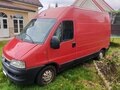 2008 Fiat Professional Ducato, красный, 640000 рублей - вид 6