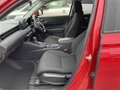 2023 Honda Vezel II, красный, 1840000 рублей - вид 8