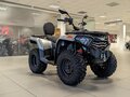 2026 Loncin XWolf 300 Max, серый, 485000 рублей