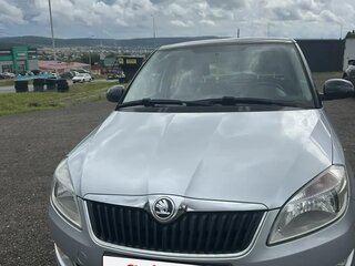 2013 Skoda Fabia II Рестайлинг, серебристый, 590000 рублей, вид 1