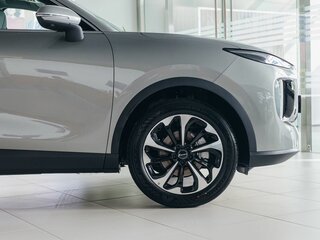 2026 Tenet Plus L6, серый, 3040000 рублей, вид 4