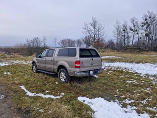 2004 Ford F-150 XI, золотистый, 500000 рублей, вид 4