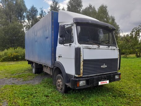 2004 МАЗ 4370, белый, 550000 рублей, вид 1
