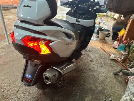 2016 Suzuki Burgman (SkyWave) 650, белый, 745900 рублей, вид 5