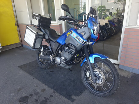 2009 Yamaha XT660Z Tenere, синий, 650000 рублей, вид 3