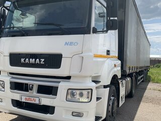 2019 КамАЗ 5490, белый, 4920000 рублей, вид 1