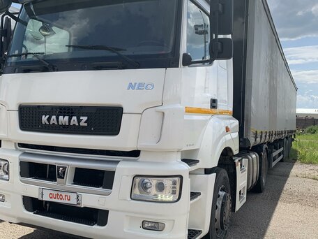 2019 КамАЗ 5490, белый, 4920000 рублей, вид 1