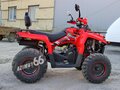 2021 Другие ATV (другие), красный - вид 4