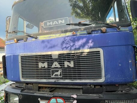 1995 MAN F 2000, синий, 310000 рублей, вид 1