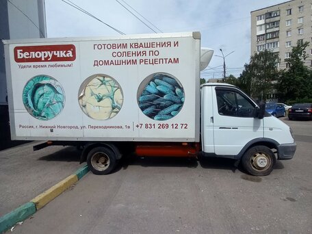 2019 ГАЗ ГАЗель (3302), белый, 1150000 рублей, вид 1