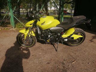 2009 Honda CB 600F Hornet, жёлтый, 460000 рублей, вид 2
