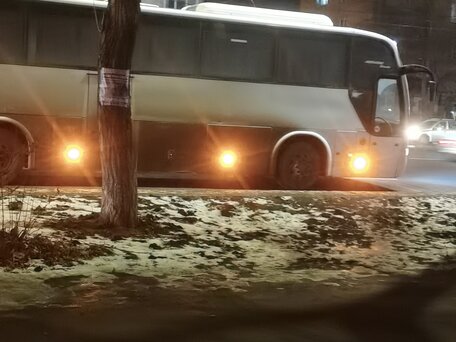 2008 Marcopolo Andare, белый, 3000000 рублей, вид 3