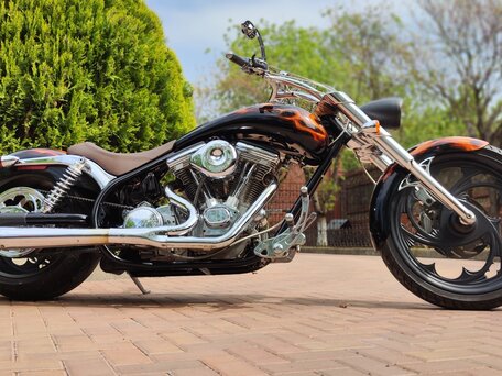 2007 Arlen Ness Lowliner, коричневый, 1699000 рублей, вид 2