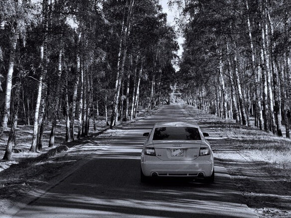 2005 Audi A6 III (C6), белый, 1200000 рублей - вид 4