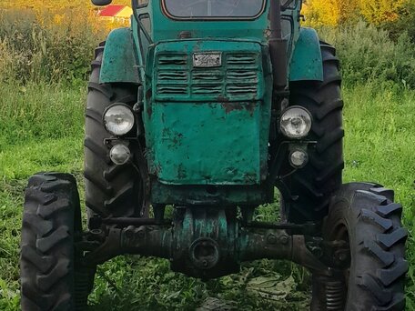1986 ЛТЗ Т-40АМ, зелёный, 230000 рублей, вид 1