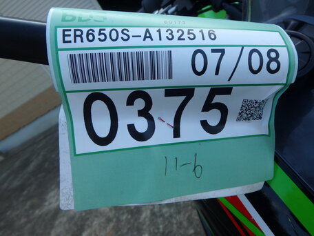 2024 Kawasaki Ninja 650, зелёный, 880000 рублей, вид 2