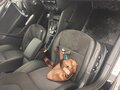 2016 Skoda Octavia III (A7), чёрный - вид 10
