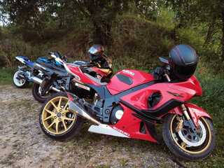 2002 Suzuki GSX-R 1000, красный, 373582 рублей, вид 2