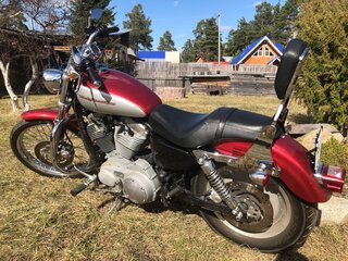 2004 Harley-Davidson Sportster 883, красный, 450000 рублей, вид 4