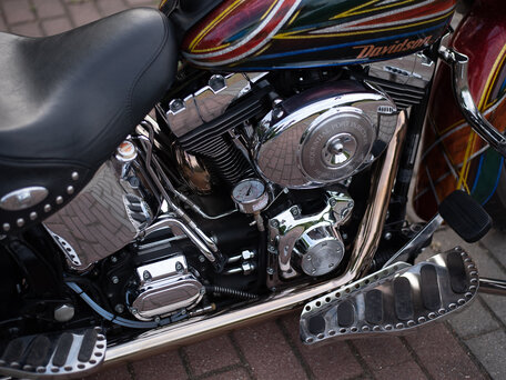 2004 Harley-Davidson Softail Custom, красный, 1181997 рублей, вид 4