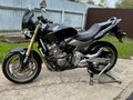 2006 Honda CB 600F Hornet, чёрный, 430000 рублей - вид 3