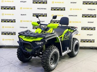 2025 Bashan Explorer 300, зелёный, 339000 рублей, вид 1
