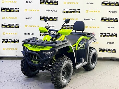 2025 Bashan Explorer 300, зелёный, 339000 рублей, вид 1
