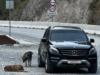 2013 Mercedes-Benz M-Класс 350 III (W166), чёрный, 2450000 рублей, вид 1