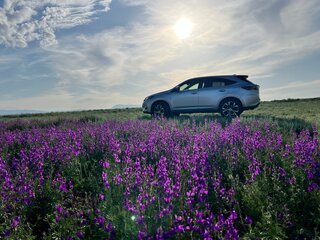 2016 Toyota Harrier III (XU60), серый, 3250000 рублей, вид 1