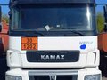 2021 КамАЗ 5490, белый, 5000000 рублей - вид 6