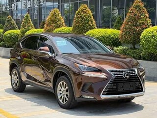 2019 Lexus NX 200 I Рестайлинг, коричневый, 2180000 рублей, вид 1