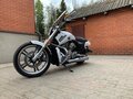 2014 Harley-Davidson V-Rod Muscle, белый - вид 2