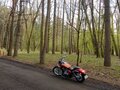 2012 Honda Shadow 750, оранжевый, 570000 рублей - вид 11