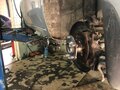 2009 Kia Cerato 4-speed II, серебристый, 450000 рублей - вид 10