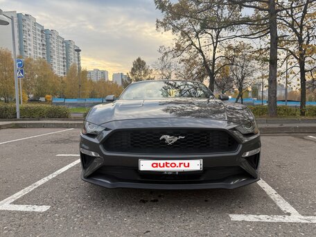 2018 Ford Mustang VI Рестайлинг, серый, 2600000 рублей, вид 4