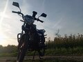 2024 VMC (Vento) Riva, чёрный, 67000 рублей
