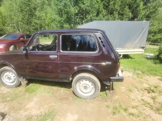 2010 Lada (ВАЗ) 2121 (4x4) I Рестайлинг, коричневый, 399000 рублей, вид 4