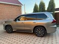 2019 Lexus LX 450d III Рестайлинг 2, серый - вид 6
