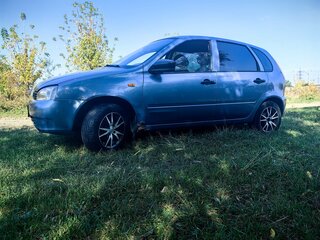 2007 Lada (ВАЗ) Kalina I, серый, 280000 рублей, вид 2