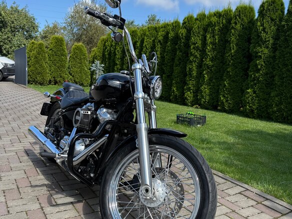 2020 Harley-Davidson Softail Standard, чёрный, 1120000 рублей - вид 10