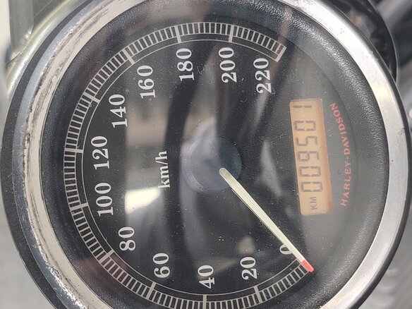 2013 Harley-Davidson Sportster 883, белый, 599000 рублей - вид 8