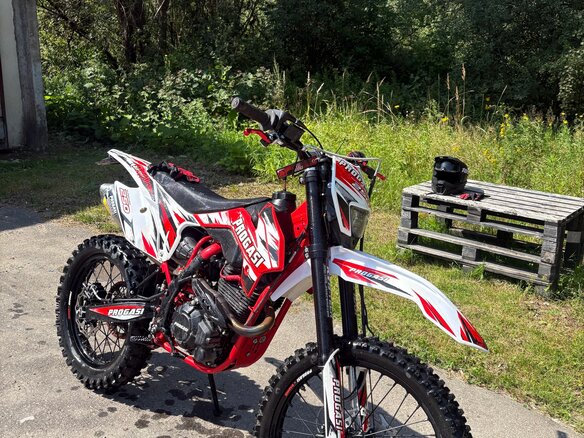 2025 Progasi Super Max 250, красный, 125000 рублей - вид 3